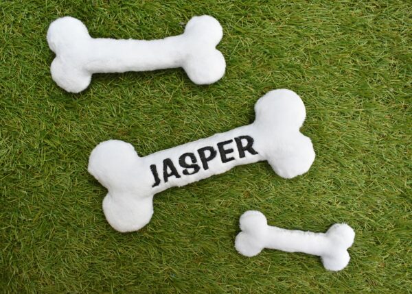 Bone Stuffie ITH Embroidery