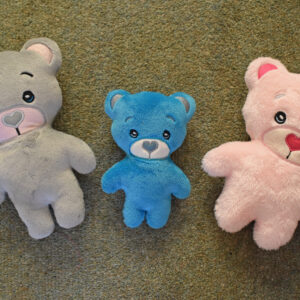 Teddy Bear Stuffie 5 ITH