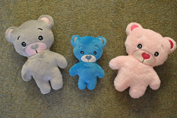 Teddy Bear Stuffie 5 ITH