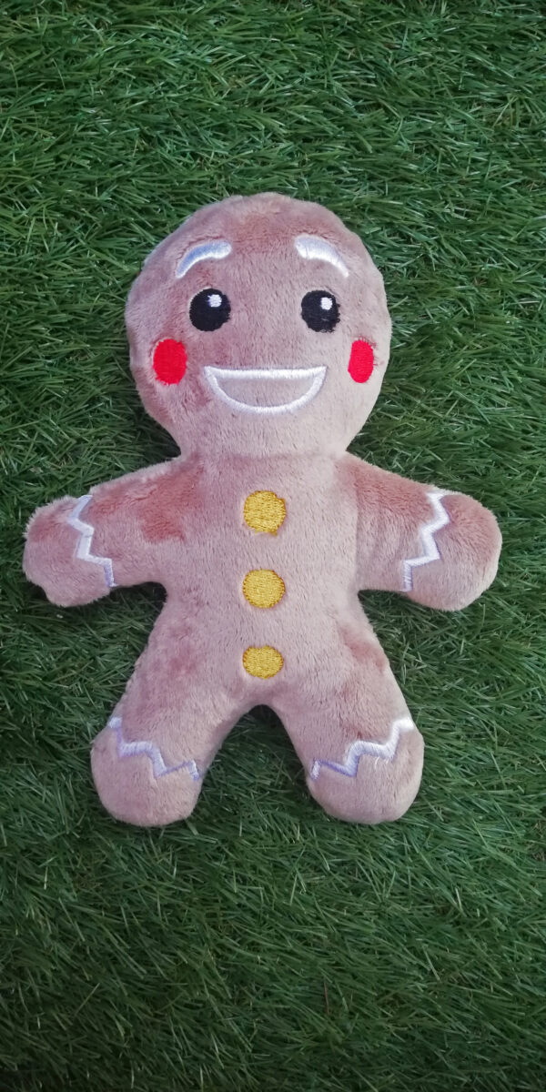 Gingerbread man 12 ITH